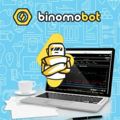 Робот BinomoBot